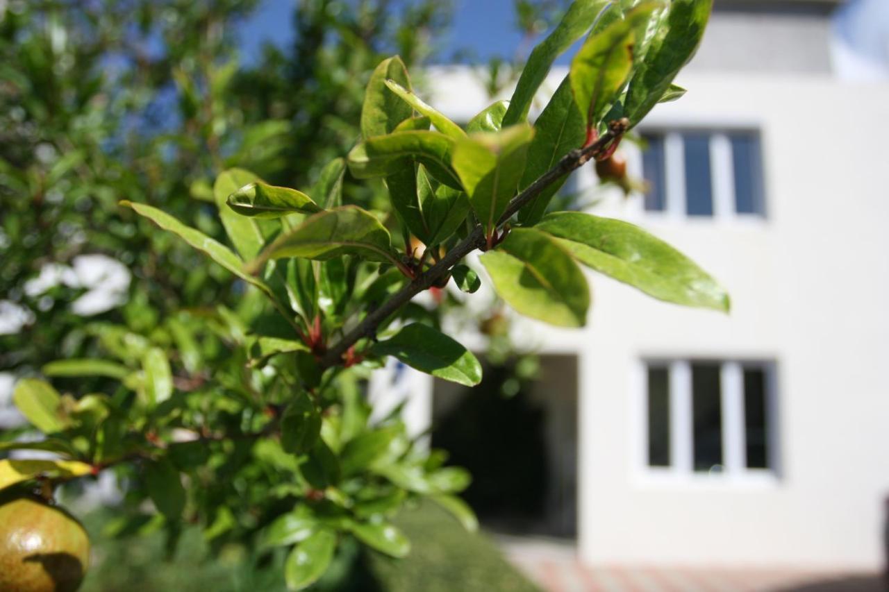 Apartman Mare Makarska Bagian luar foto